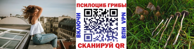 Галлюциногенные грибы мухоморы  Иваново 