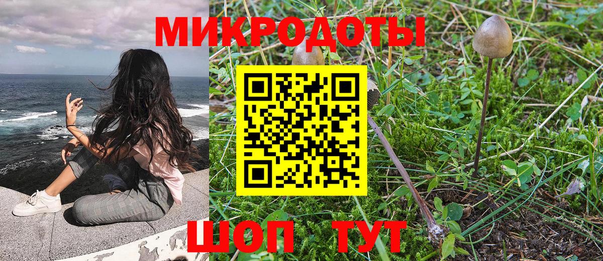 наркота  Вход с VPN  Псилоцибиновые грибы GOLDEN TEACHER  Иваново  Галлюциногенные грибы Psilocybe 