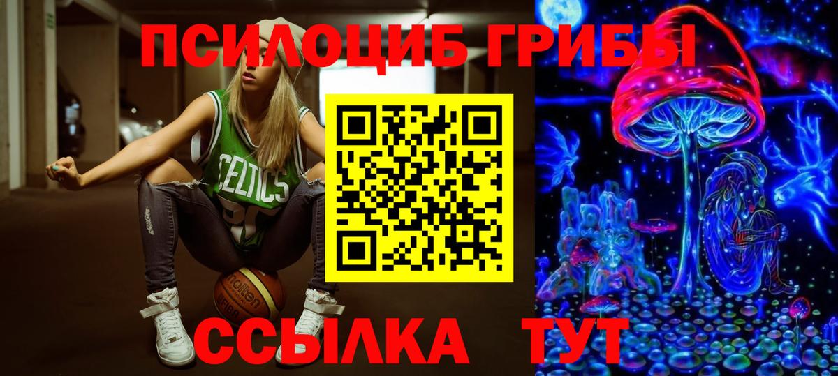 Галлюциногенные грибы Psilocybine cubensis Иваново