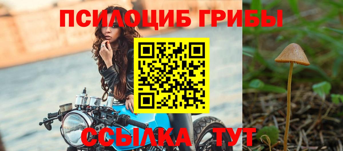 Псилоцибиновые грибы GOLDEN TEACHER  Галлюциногенные грибы ЛСД  Иваново 