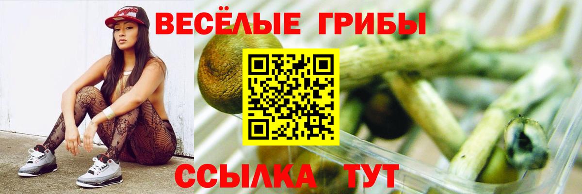 Галлюциногенные грибы MAGIC MUSHROOMS Иваново